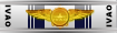 ATP - Airline Transport Pilot