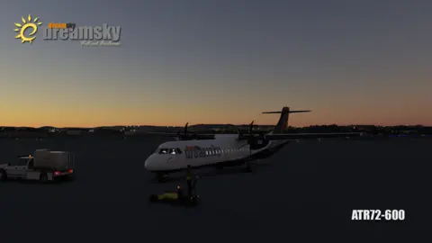 Airbus A321neo Starry Night